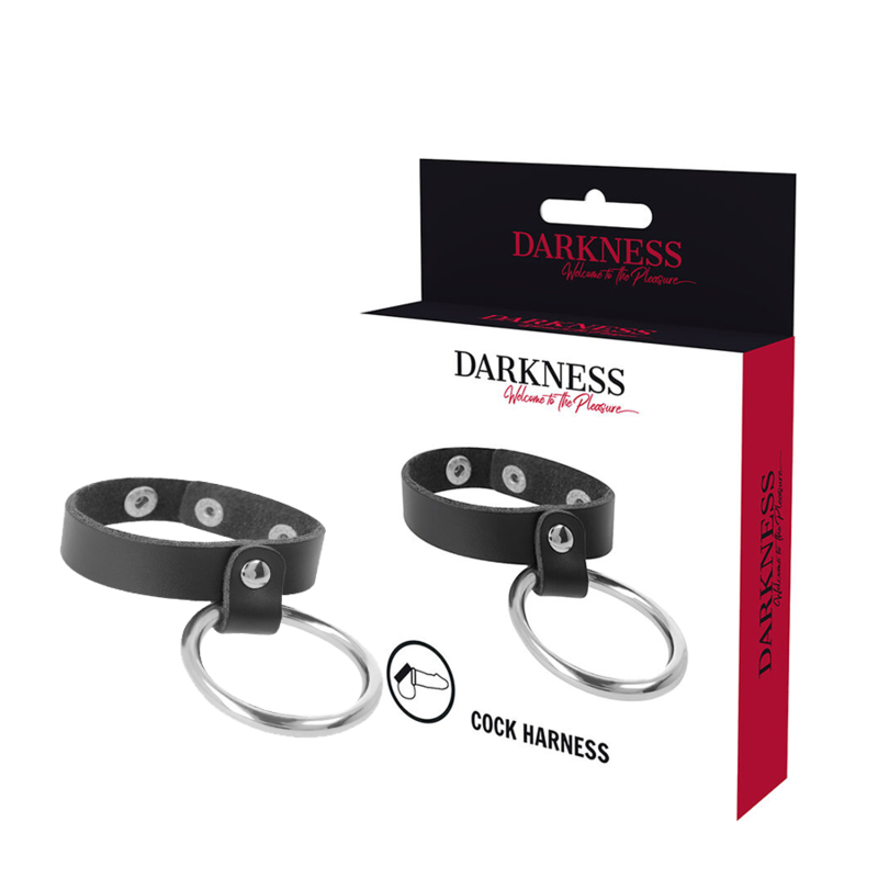 ANELLO IN METALLO PER PENE E TESTICOLI - CHARME VIBE