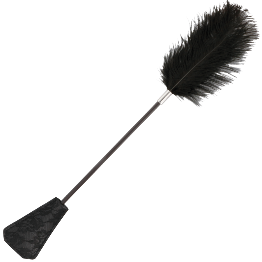 FRUSTA DI PIUME NERA DELLAMORE 56 CM - CHARME VIBE