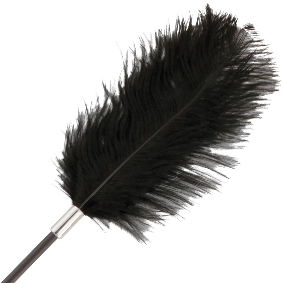 FRUSTA DI PIUME NERA DELLAMORE 56 CM - CHARME VIBE