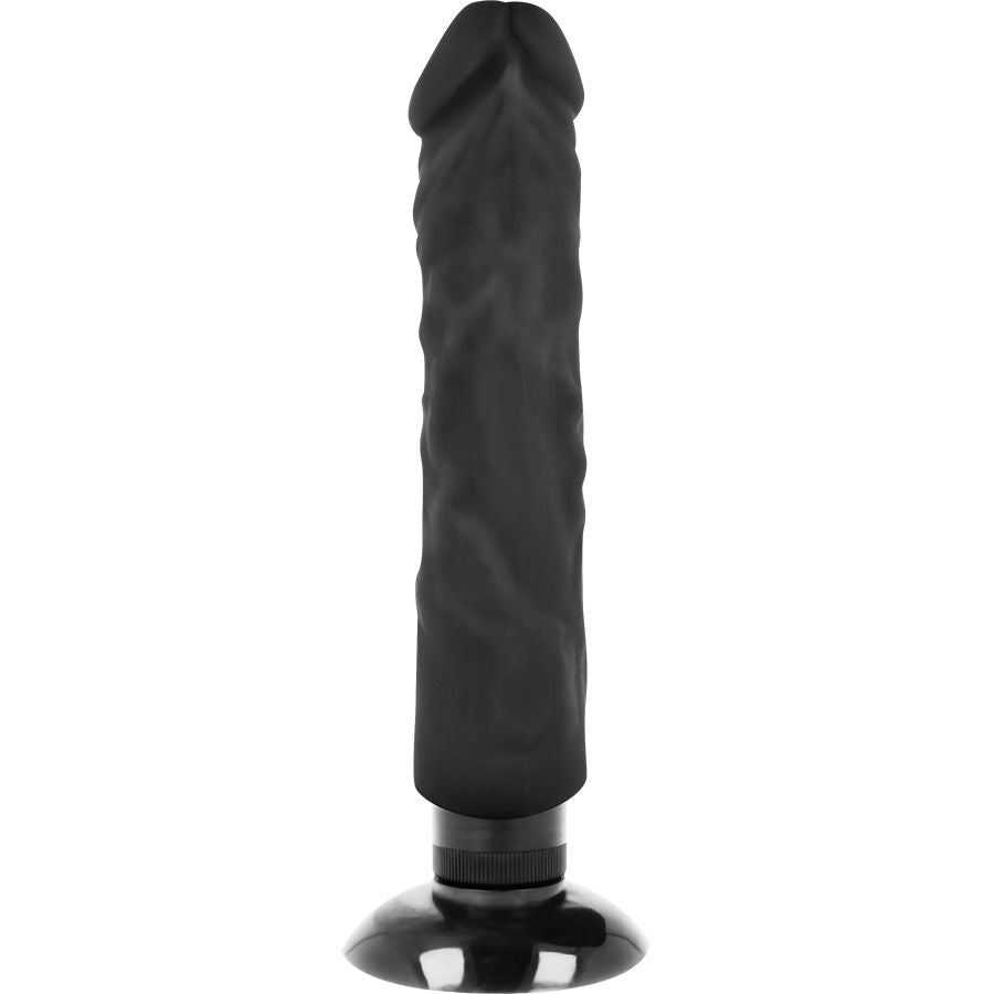VIBRATORE REALISTICO 2-1 NERO 20 CM O 4 CM - CHARME VIBE
