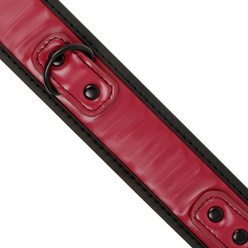 FETISH SUBMISSIVE DARK ROOM - COLLANA A CATENA CON FODERA IN NEOPRENE - CHARME VIBE