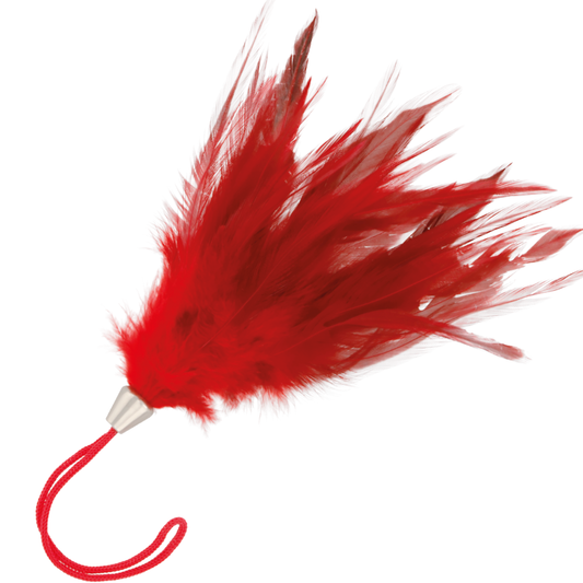 PENNA STIMOLANTE ROSSA 17CM - CHARME VIBE
