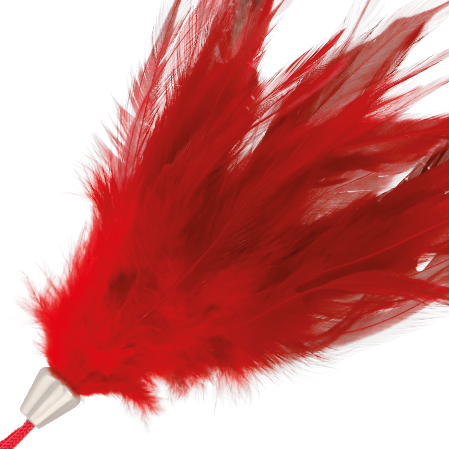 PENNA STIMOLANTE ROSSA 17CM - CHARME VIBE