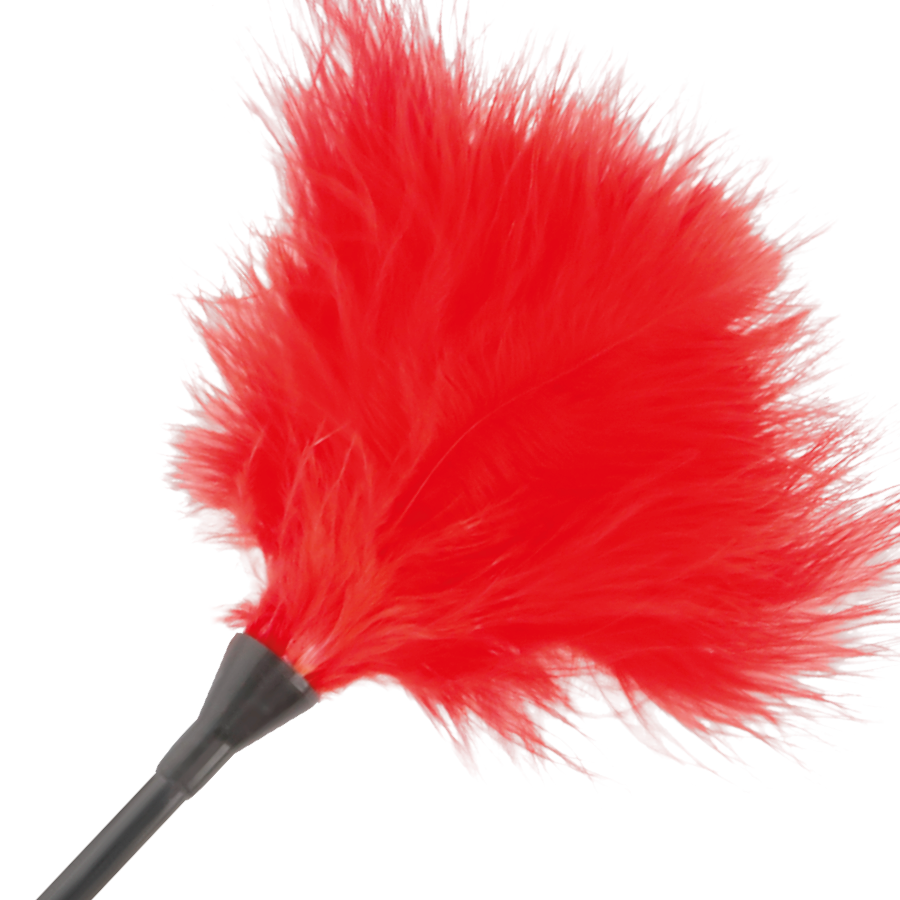 PENNA STIMOLANTE ROSSA 42CM - CHARME VIBE