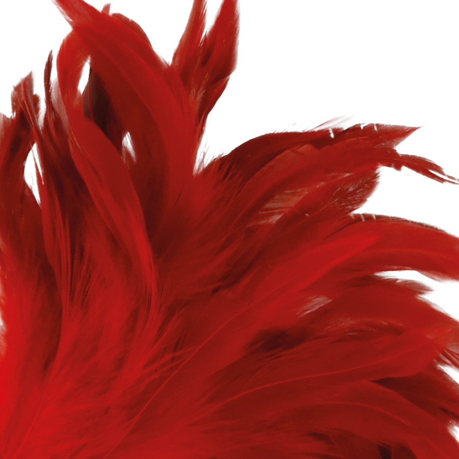 PENNA STIMOLANTE ROSSA 24CM - CHARME VIBE