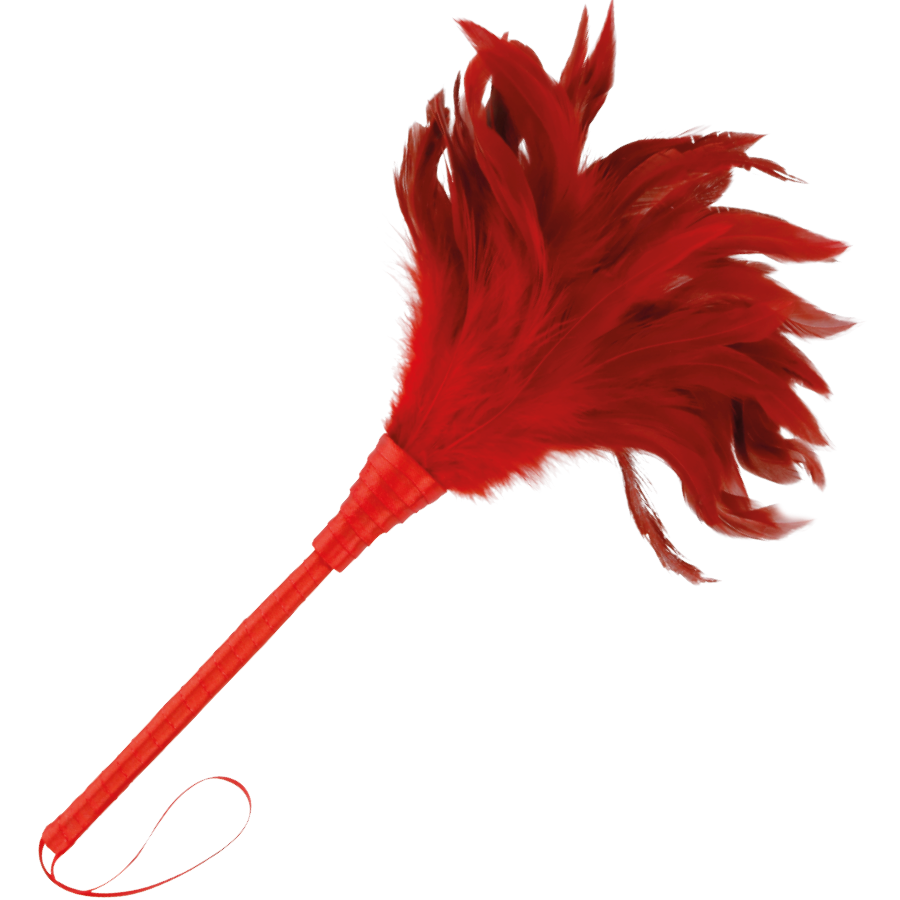PENNA STIMOLANTE ROSSA 24CM - CHARME VIBE