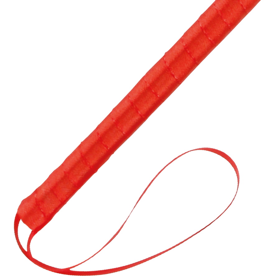 PENNA STIMOLANTE ROSSA 24CM - CHARME VIBE